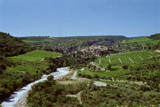 Bild: "Minerve" (Fotografie, 1998)